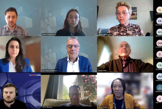 Screenshot of the webinar