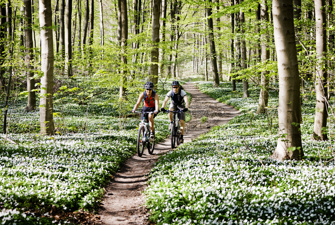 Mand og dame cykler på mountainbikes i en skov