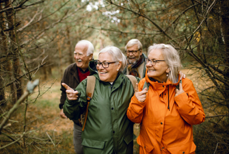 Gruppe af ældre på gåtur i skoven