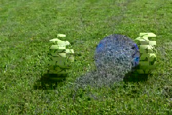 Andres Siimon/Unsplash