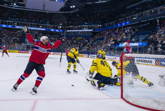 Ishockeyspillere i kamp