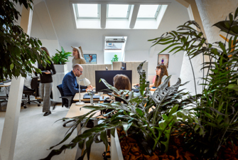 Kvinde ved computer